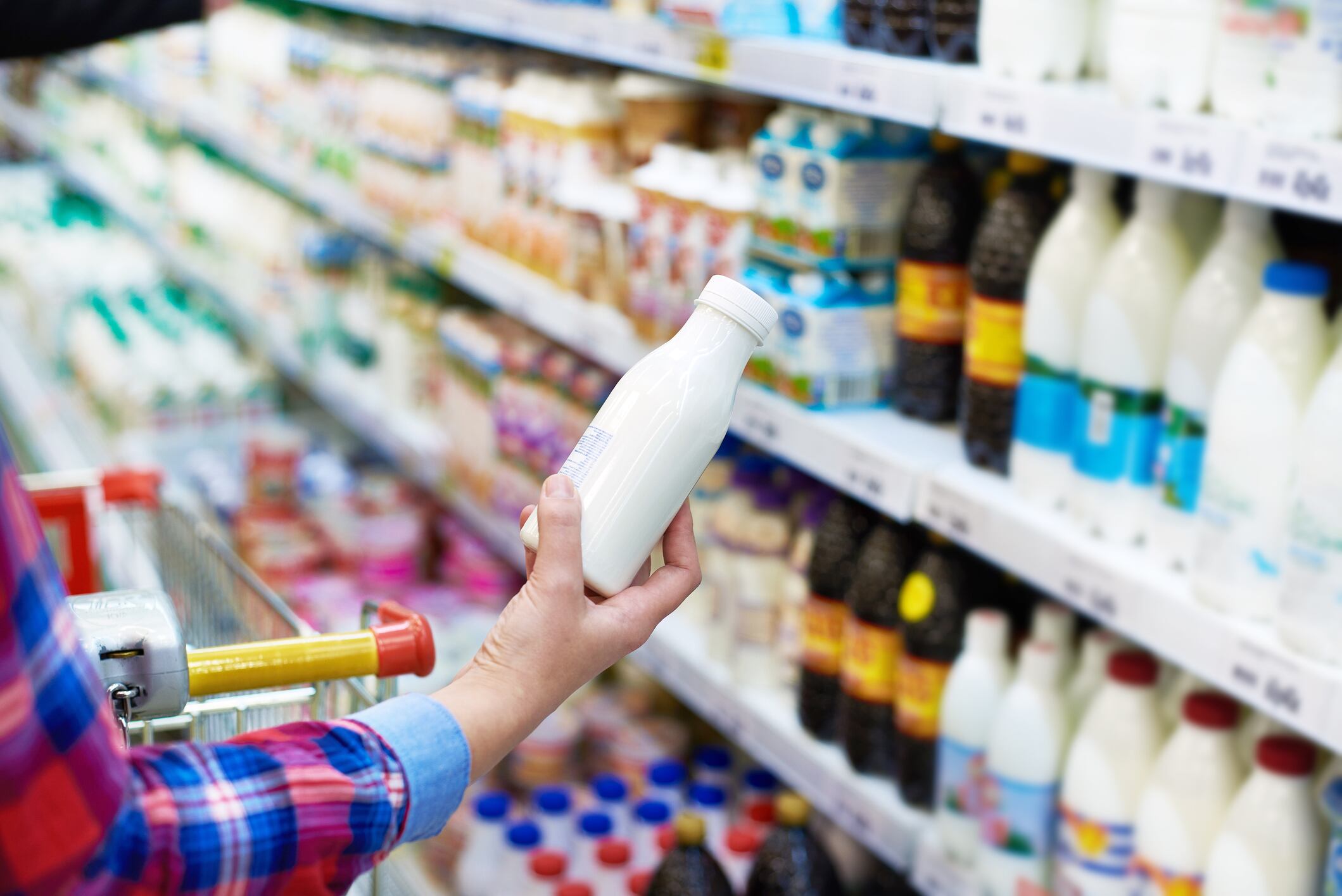 Prebiotics, probiotics to be 'fastest-growing' segment in functional foods between 2019-2025