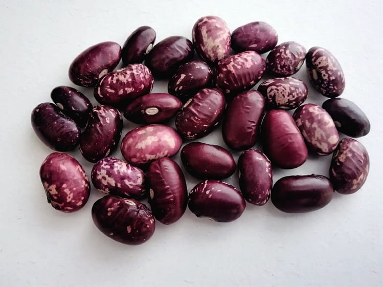 Bean power: Five 'outstanding' Mexican varieties identified for biofortification