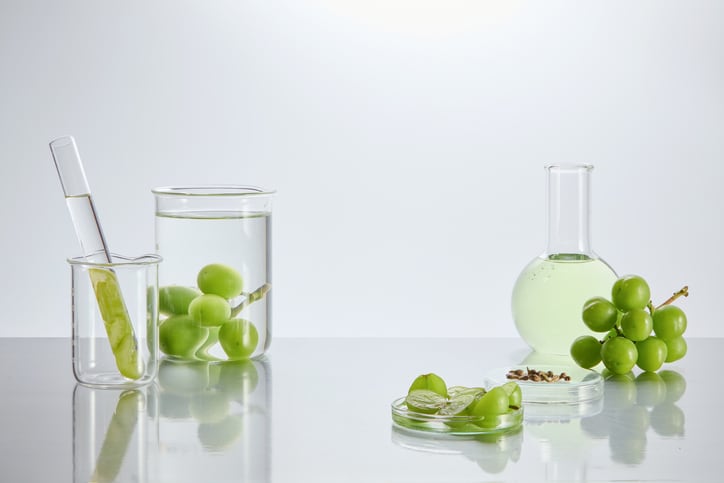Indena's grape seed extract may boost mood and cognitive function