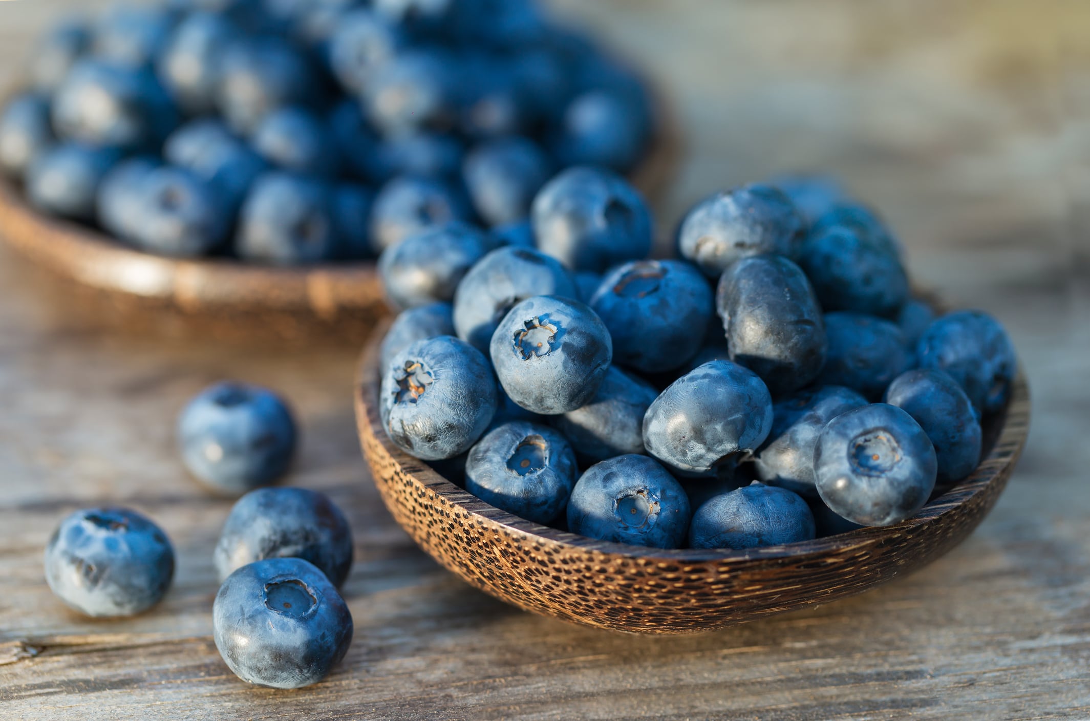 Blueberries may boost brain function for kids: Study