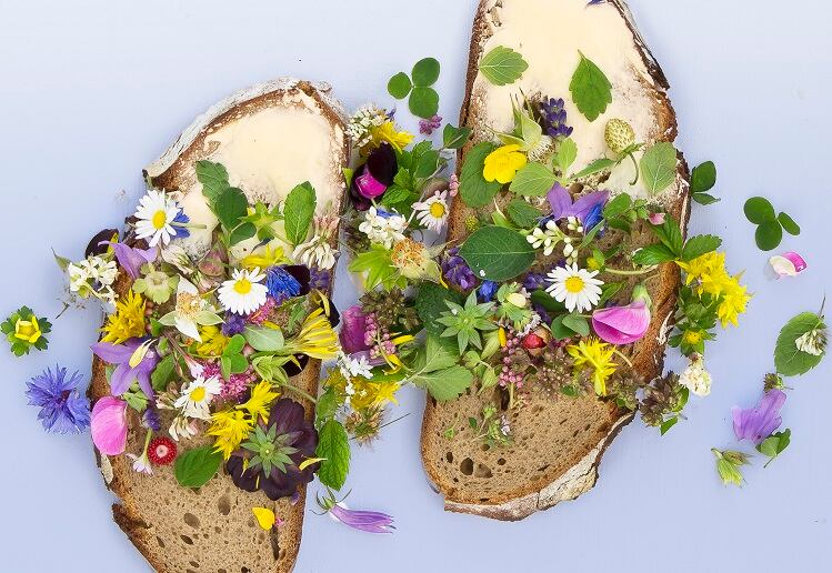 Edible-flowers-can-contribute-to-daily-dose-of-vitamin-E-study-suggests.jpg