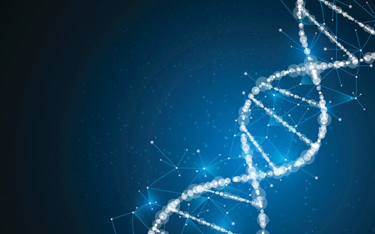 Researchers use DNA/TLC approach to find new species within herbal medicine genus