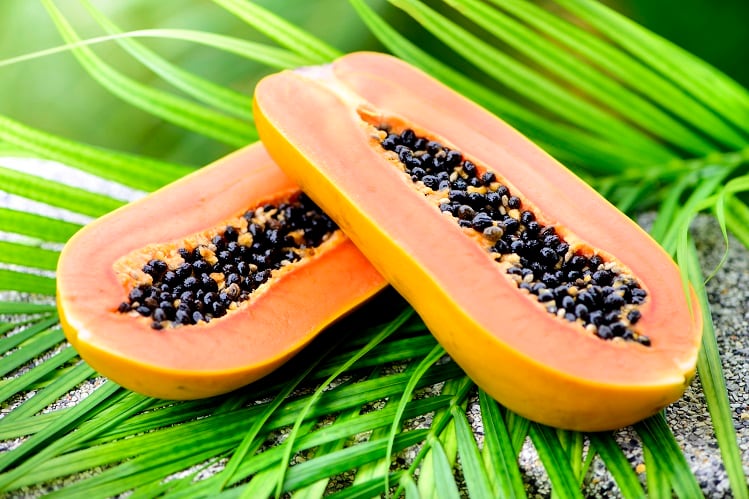 Brazil study: Papaya plants have nutrient, chemical profile benefiting metabolic syndrome