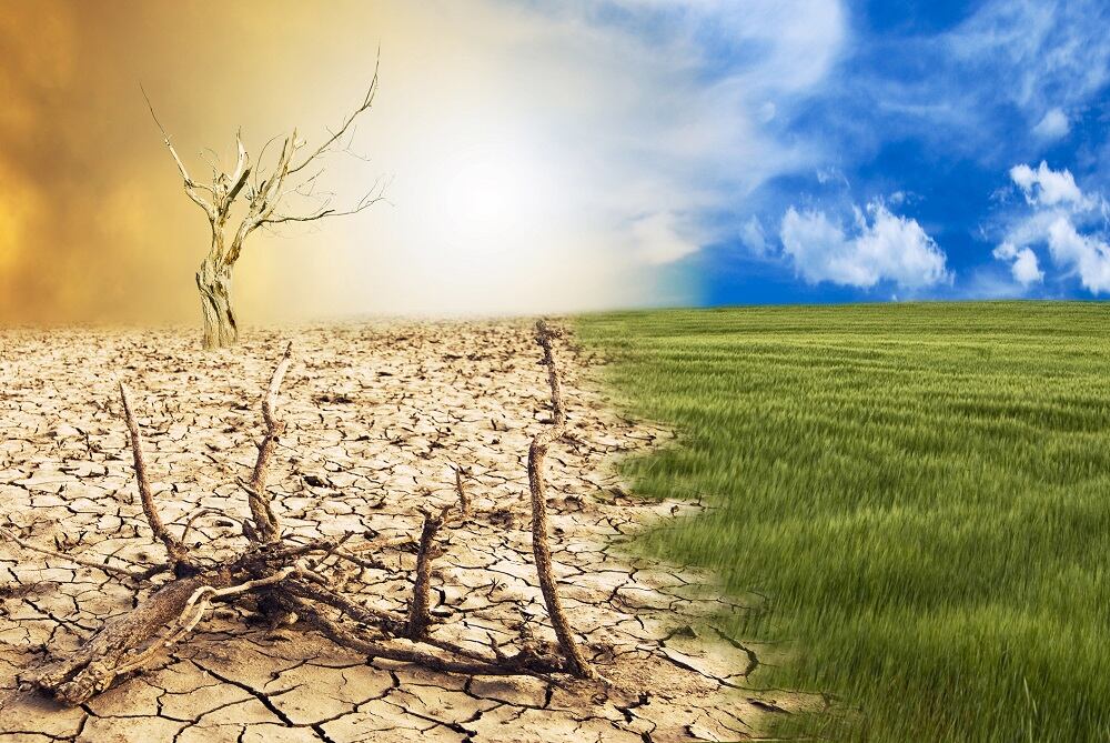 Global warming predicted to adversely affect crop production and increase undernutrition: study