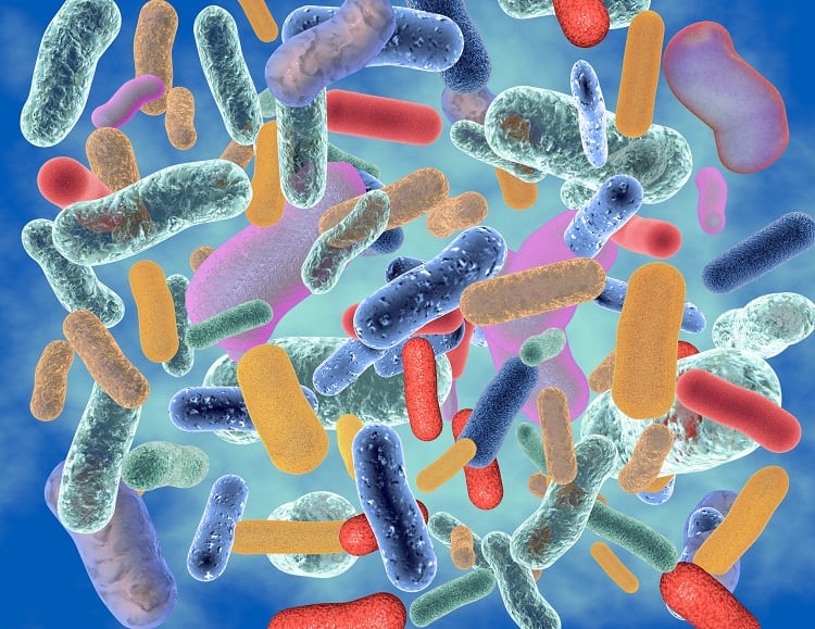 Mexican survey studies probiotics use and prescriptions by nutritionists and gastroenterologists