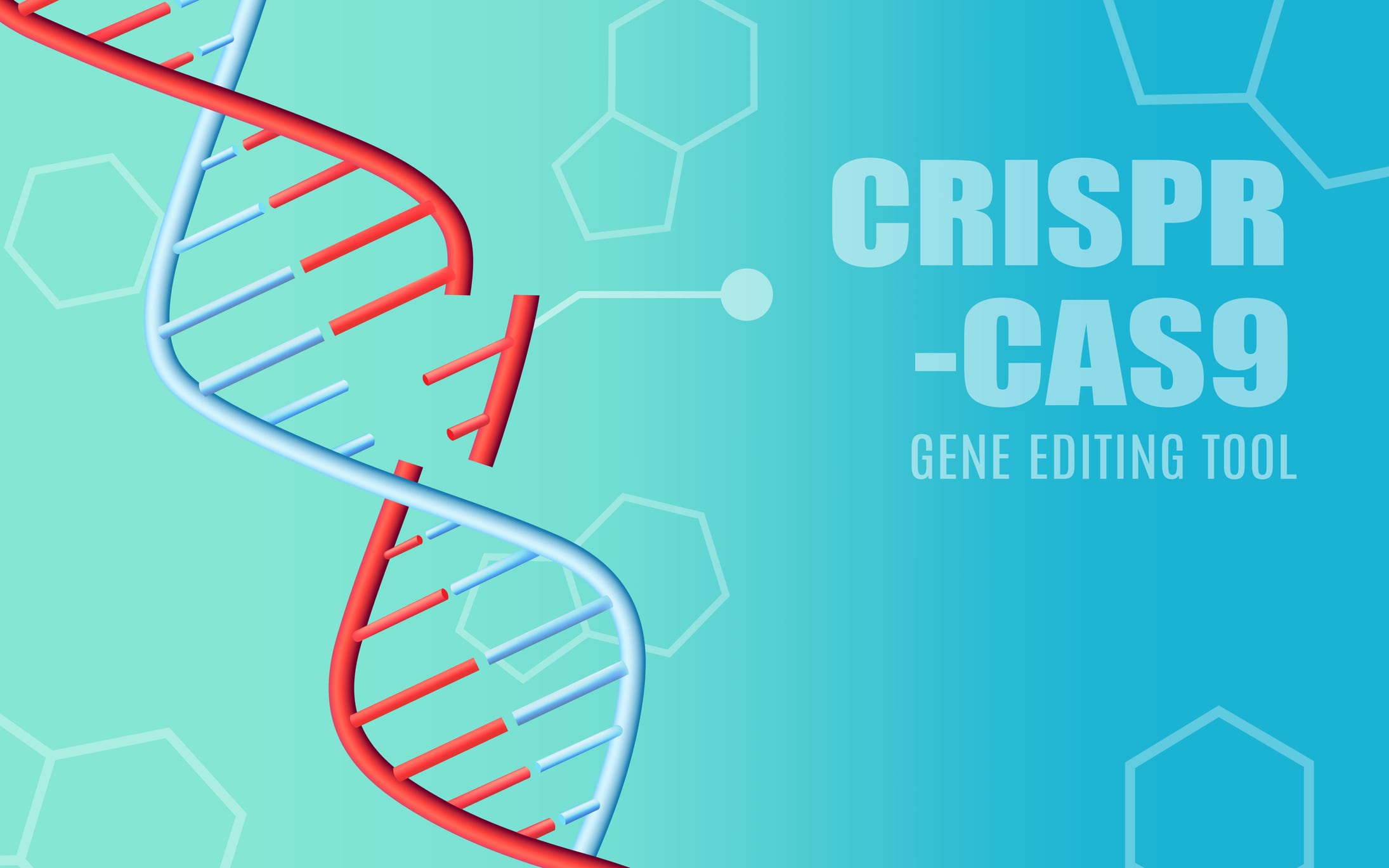 CRISPR advance for Bifidobacteria creates next gen probiotics opportunities