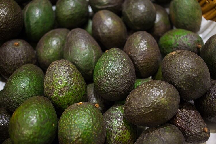 Avocado oil extract patented as active ingredient to treat and prevent hearing loss