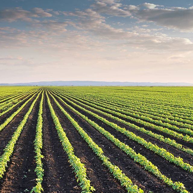 Benexia bets on Seeds of Wellness consumer brand to boost category