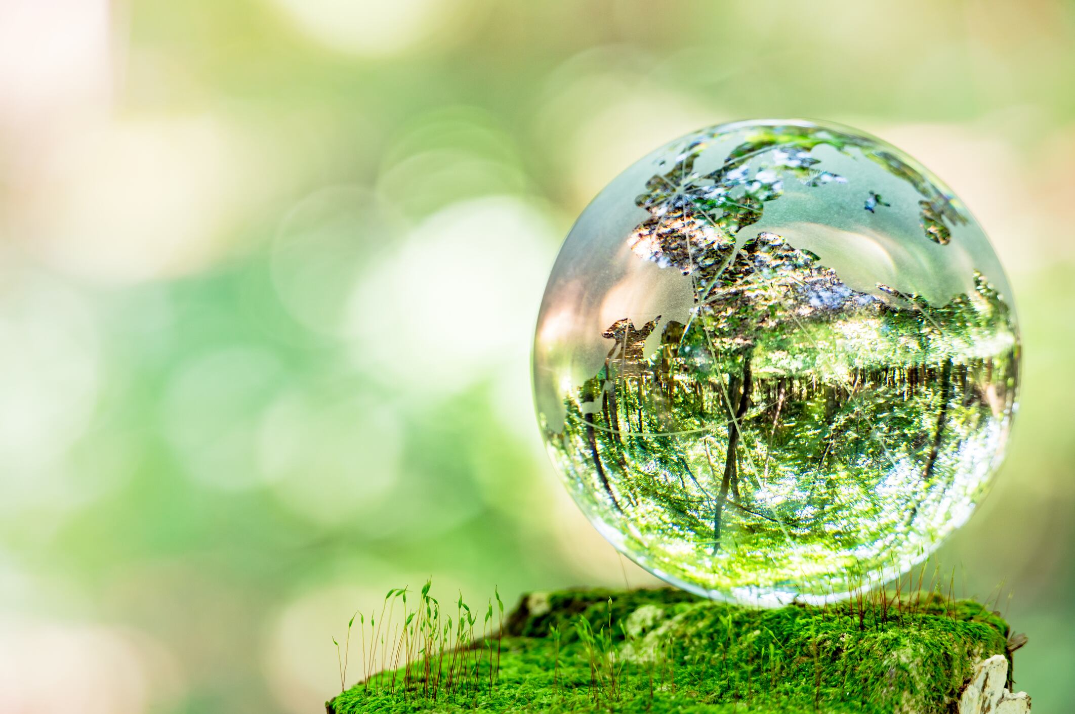 Survival of the fittest? Pro-environment claims must be part of your healthy offering, says expert