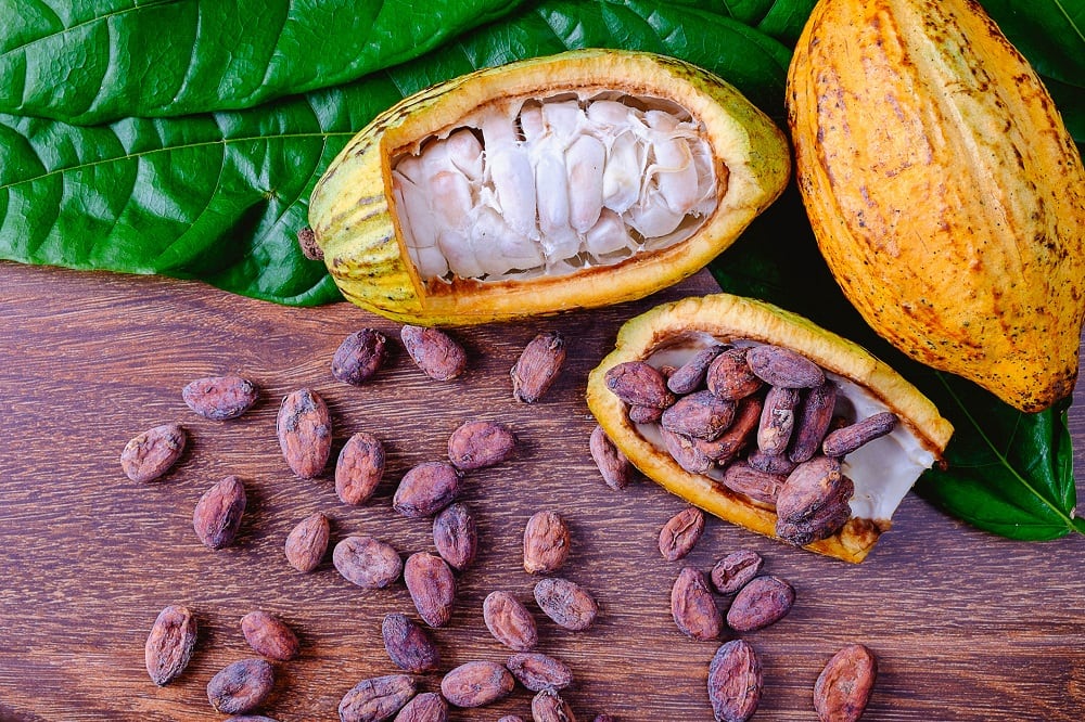 ‘Provocative’: Cocoa flavonoids may improve mobility & quality of life for older people