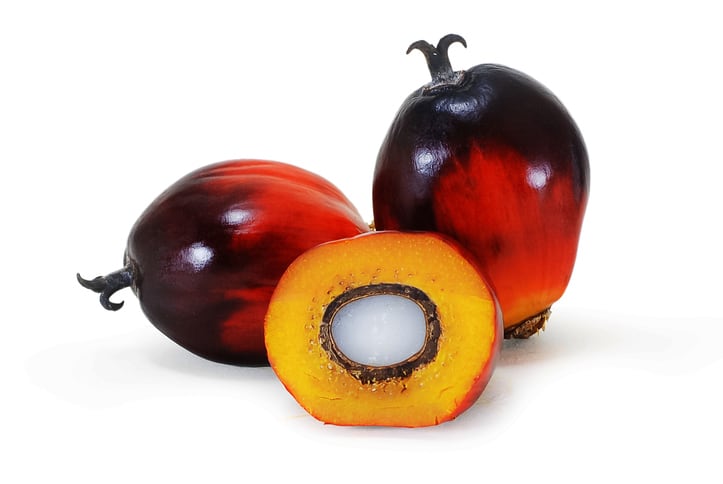 Palm fruit ingredient smooths flavor notes, adds nutrition in coffee pairing