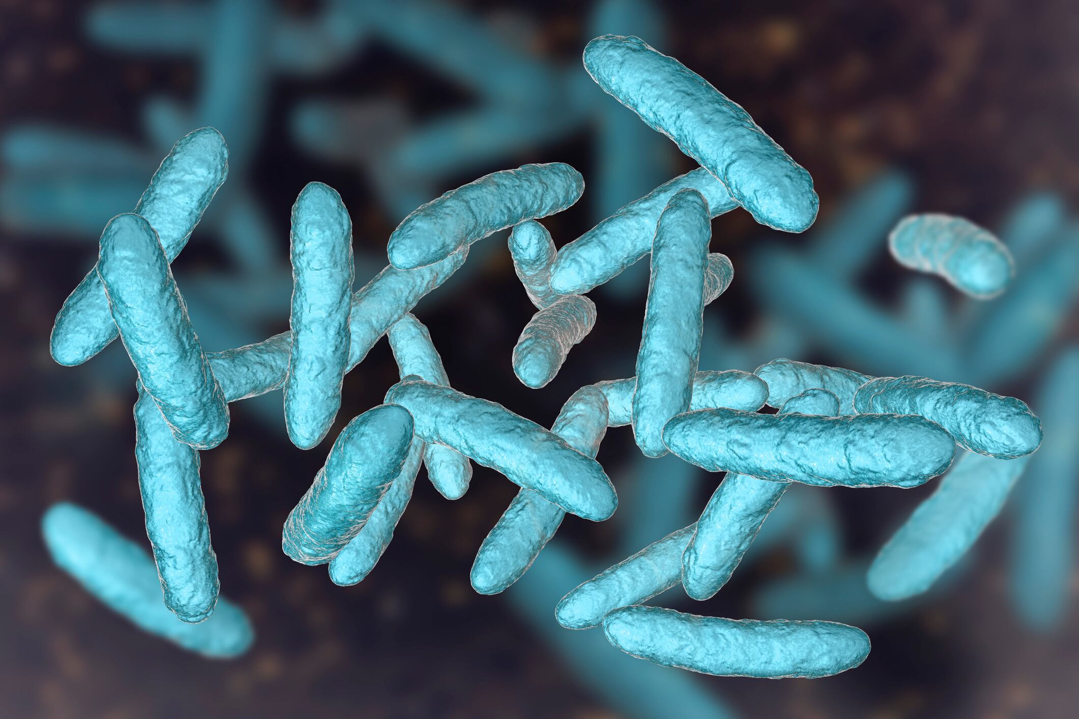 Lactobacillus taxonomic changes: Is your brand ready?