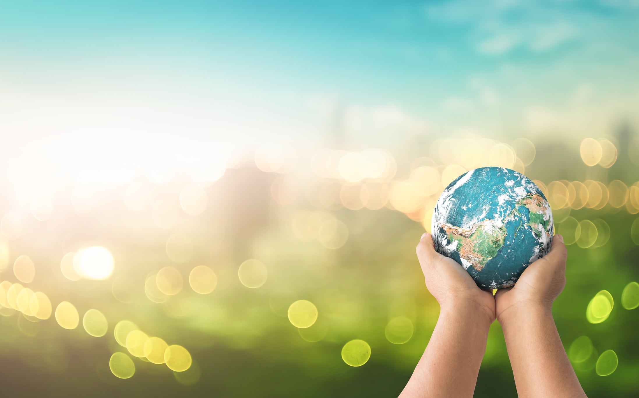 What-s-on-the-agenda-for-Sustainable-Food-and-Nutrition-in-2020.jpg