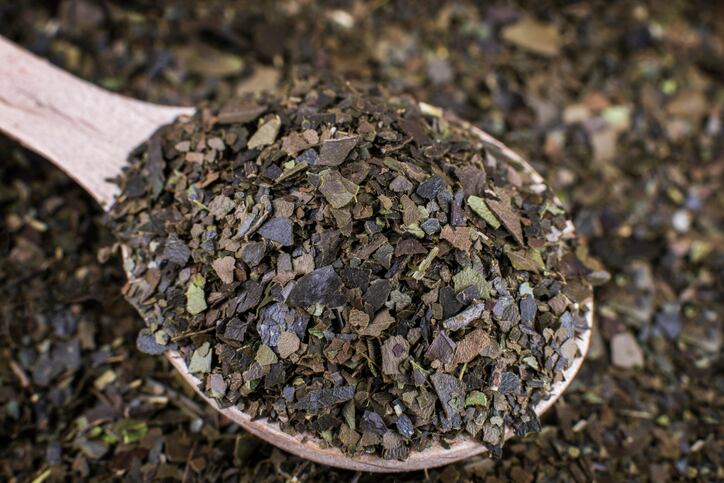  Homegrown guayusa brand seeks to have big impact on Ecuadorian farmers