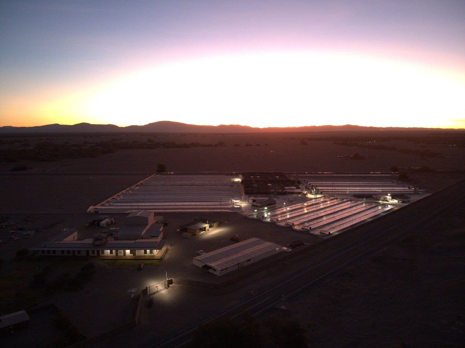 Astaxanthin expansion: Chile’s Atacama Bio expands footprint in Asia with Malaysian and Singapore distribution