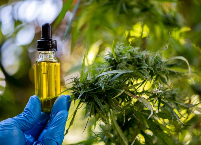 CBD/cannabis cosmetics, supplements firm scores important Colombian license