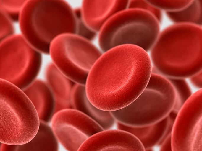 More omega-3s makes for healthier conformation of red blood cells, study finds
