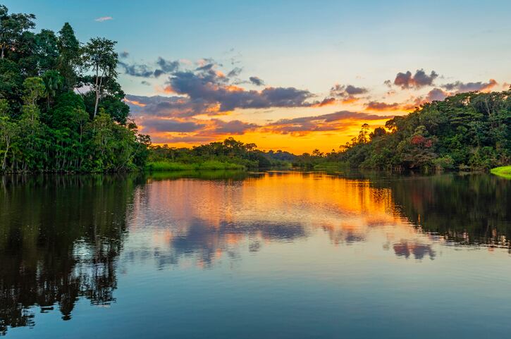 Virtual herbariums could help bring transparency to issue of conservation of Brazilian botanical resources