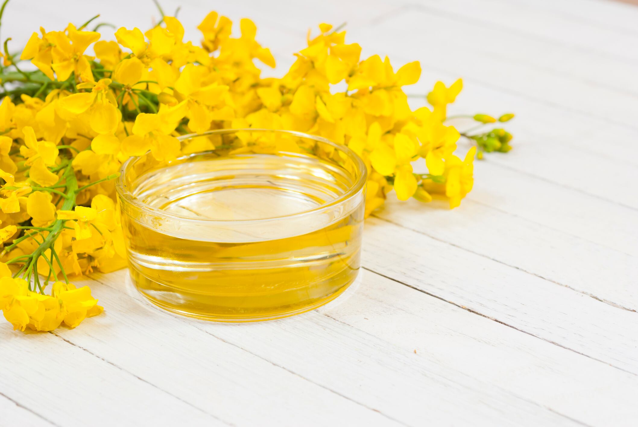Canola-oil-C-Getty-Images-S847.jpg