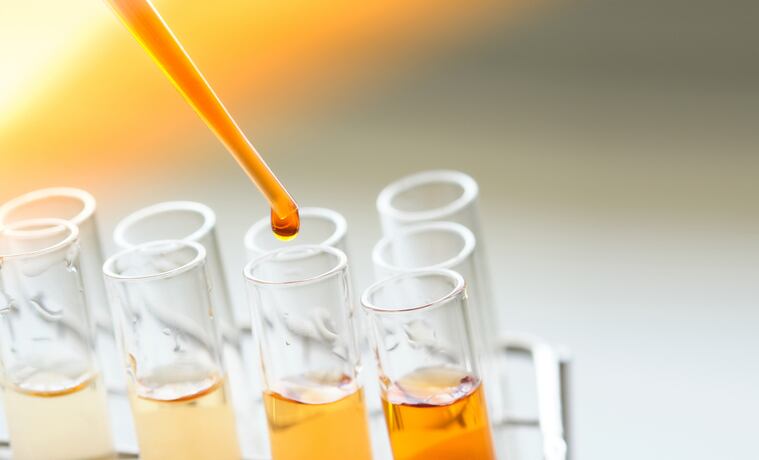 Cannabinoid fermentation specialist eyes Mexican market