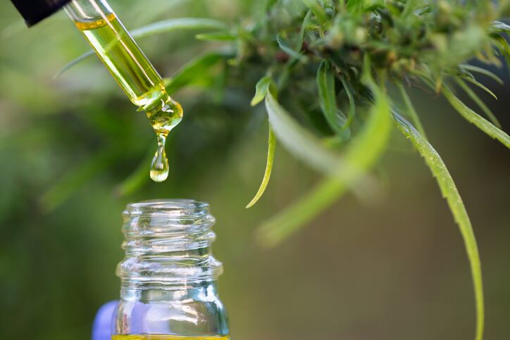 CBD news: New extraction facility;  products planned for Latin American markets