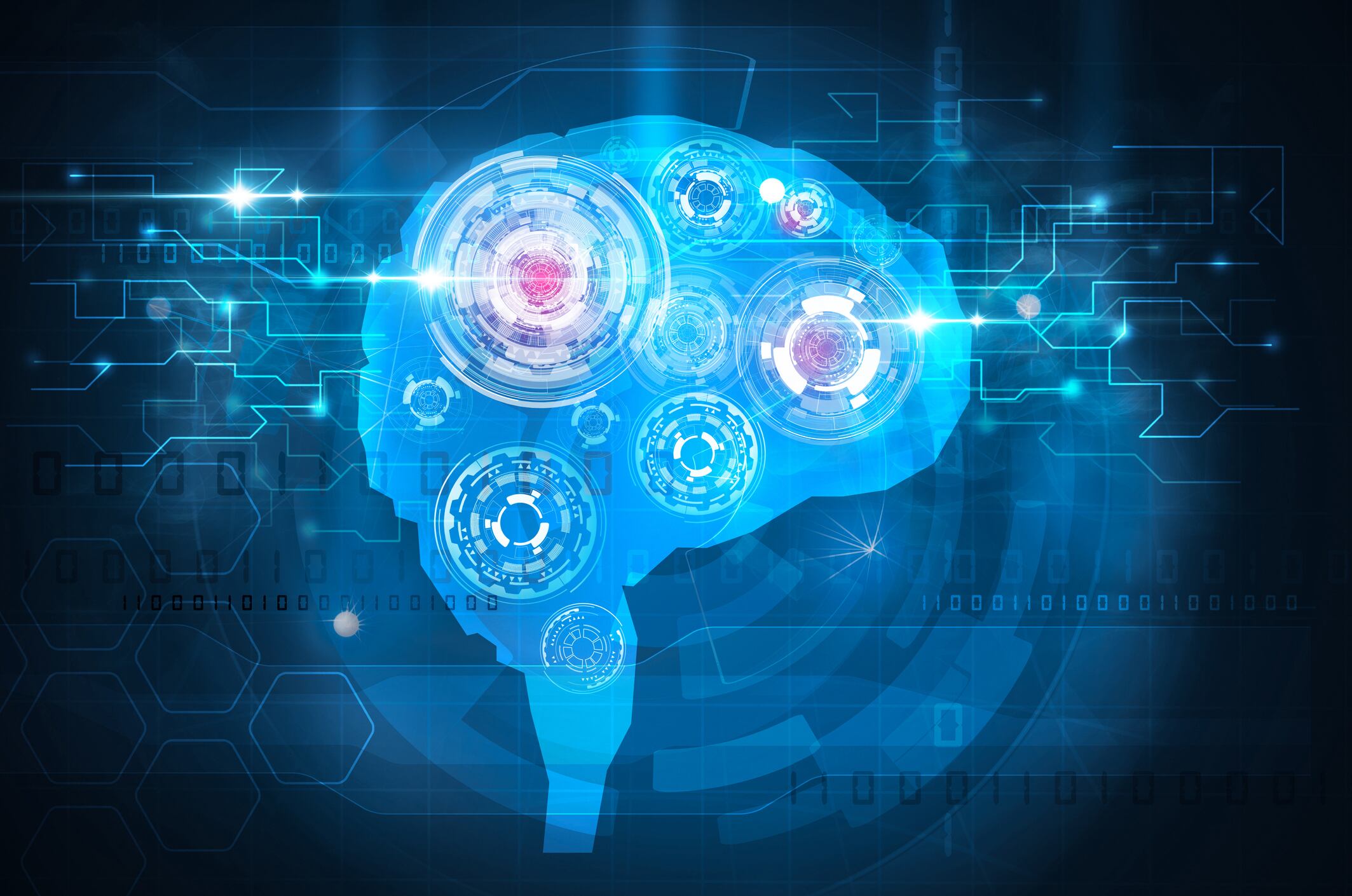 Probiotic Akkermansia strain may protect against cognitive dysfunction
