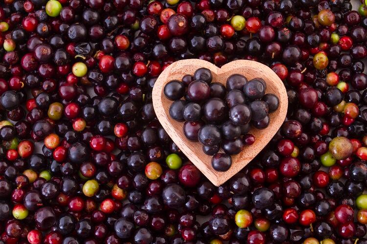 Andean blueberry may benefit women with Metabolic Syndrome: Study