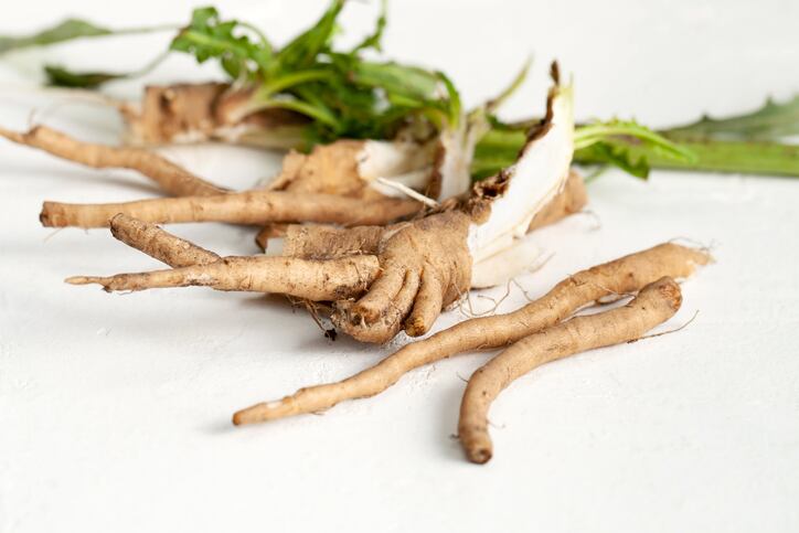 Beneo makes multi-million investment to extend chicory root fibre capacity