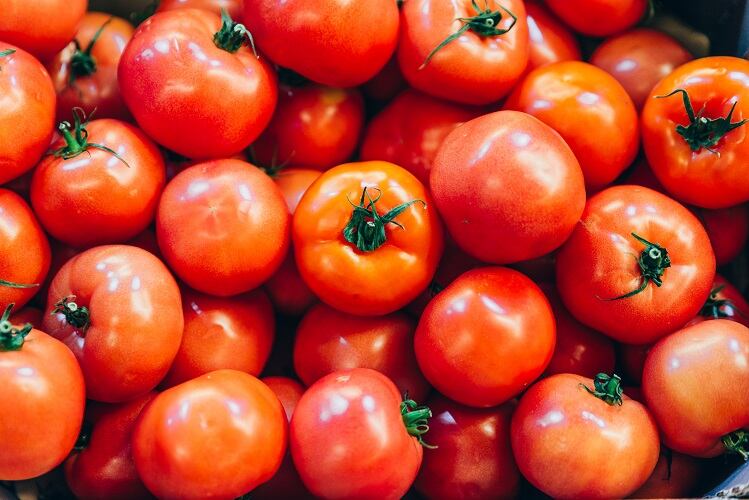 Tomato phytonutrient supplement linked to skin protection benefits