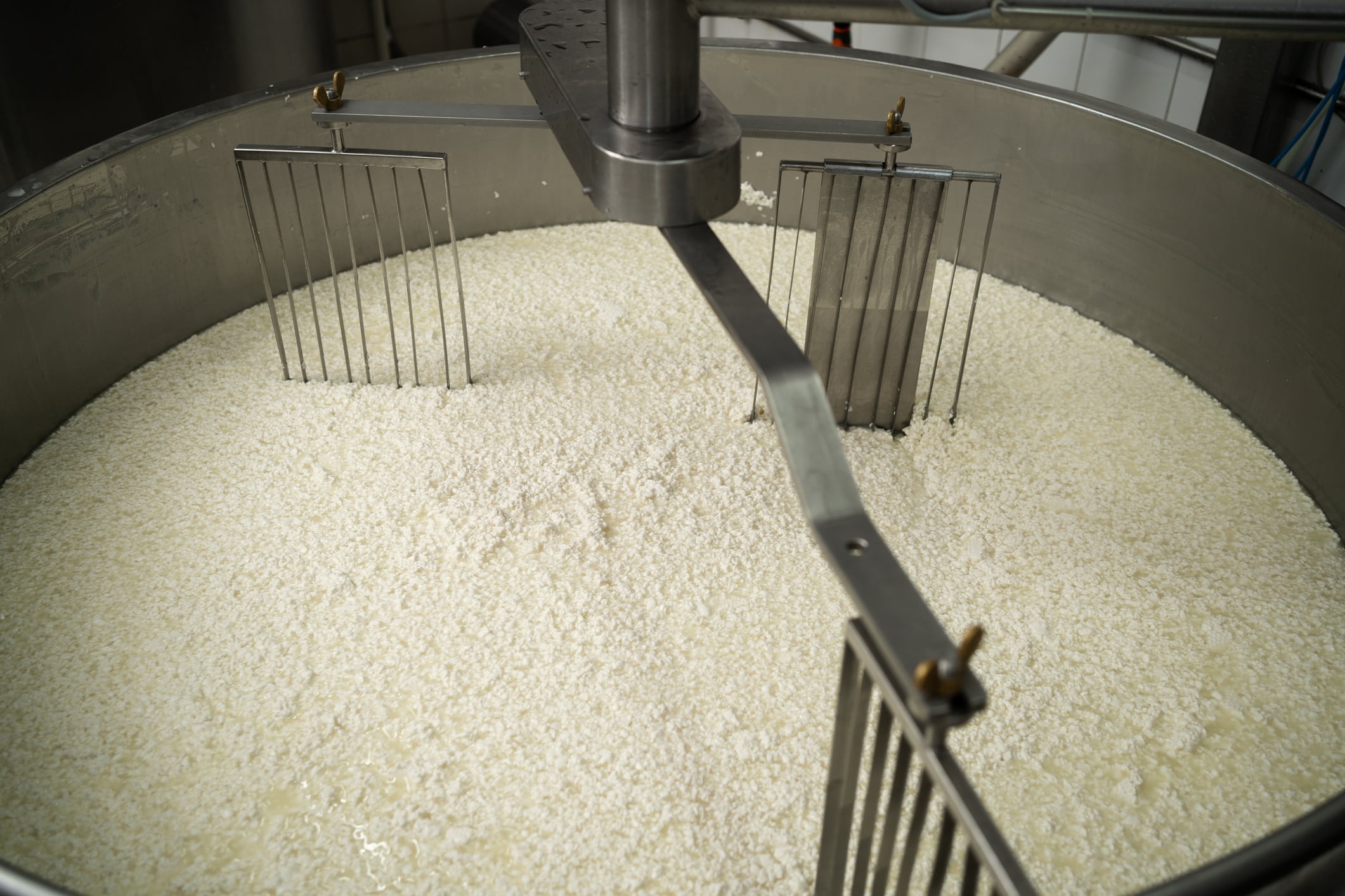 Mexican-Danish collaboration seeks to transform whey waste into single-cell protein