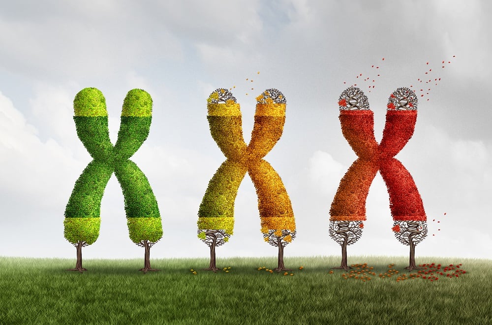 Antioxidants linked to younger ‘biological age’ in Brazilian teens