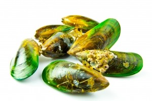 Green Lipped Mussels © Getty Images DPFishCo