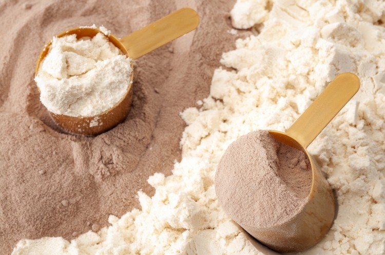 Study shows plant-based protein matches whey for muscle mass, strength