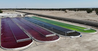 Chile-based Atacama Bio Natural Products S.A. which grows algae for astaxanthin, is looking to expand in Asia ©Atacama Bio Natural Products S.A