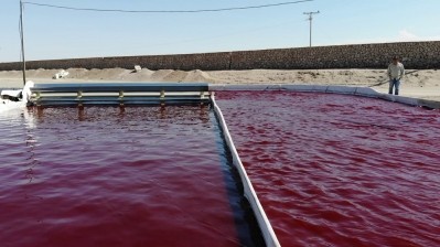 Chilean astaxanthin producer eyes big potential in Asia and global feed markets