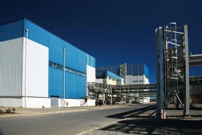 Prebiotic demand: Beneo invests in capacity expansion for chicory inulin production in Chile