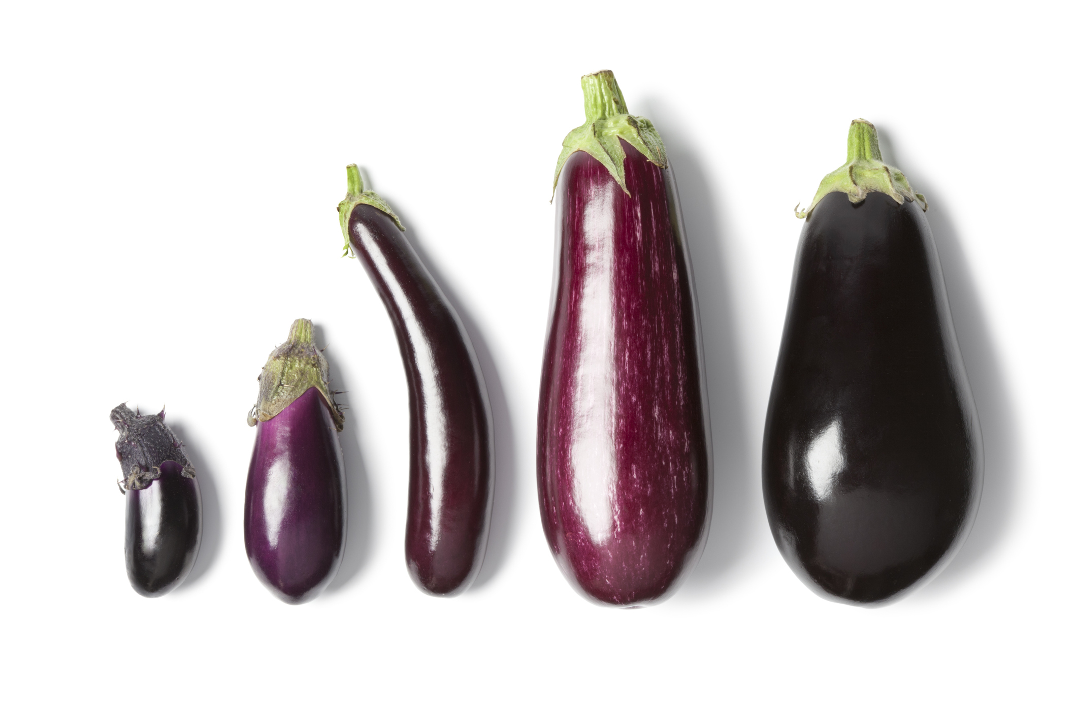 Eggplant flour may be a nutraceutical for functional foods: Study